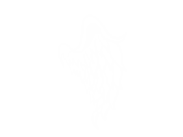 Fly Away Sticker