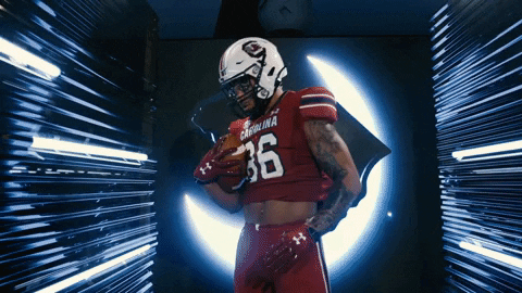 Lets Go Football GIF by gamecocksonline