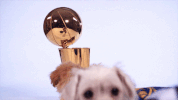 GIF by Golden State Warriors
