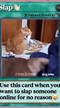 Slap Brown Cat GIF