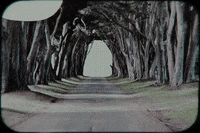 Music Video Moon GIF by Refresh Records