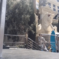 iheartpoolparty GIF by iHeartRadio