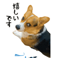 Corgi Milo Sticker
