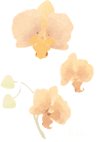 Flowers Orchids Sticker by Her Velvet Vase