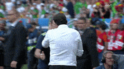 euro 2016 ireland GIF by Sporza