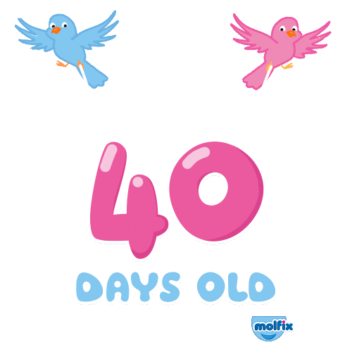 egypt 40 days old Sticker by Molfix