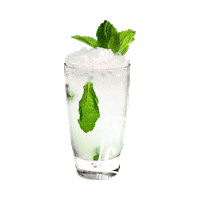 Summer Cheers Sticker by Nusa Caña Rum
