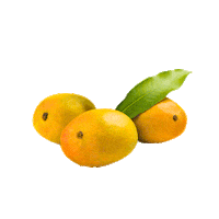 redrickshawfood mango redrickshaw redrickshawmangoes mangolikethis Sticker