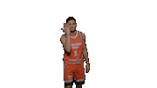 Gameday Reddragons Sticker by bkbasketbol