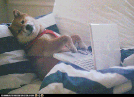 time working comfy GIF