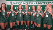 Iwutitans Tgoe GIF by iwusports