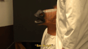 GIF by Super Deluxe