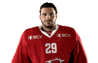 Lhc Lausannehc Sticker by Lausanne Hockey Club