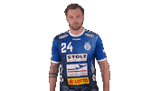 Sport Handball Sticker by LIQUI MOLY HBL