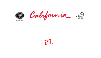 Car Truck Sticker by Wilderness Trail Bikes