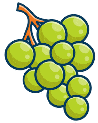 Grapes Trauben Sticker by flaschenpost.de