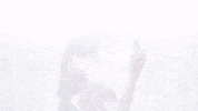 Perfume Bernie GIF