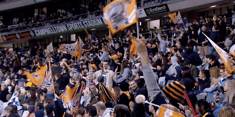 flag GIF by Wests Tigers