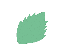 Menthe Boucles Sticker by La Belle Boucle