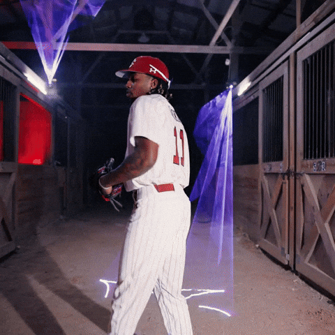 Home Run Celebration GIF by Gamecock Athletics