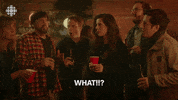 baroness von sketch what GIF