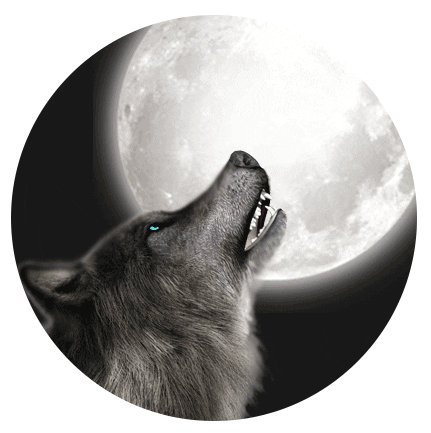 Wolf Sticker by WLTH