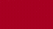 Flying Indiana University GIF by Ball State University