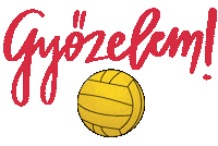 dvsevizilabda magyar waterpolo együtt debrecen Sticker