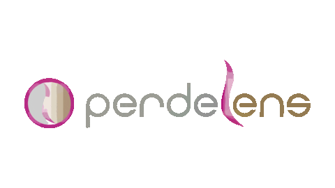 perdelens giphyupload Sticker