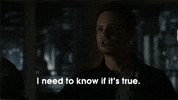 usa network GIF by Suits