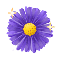Coentron flower winter autumn aster Sticker