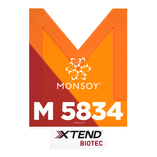 Monsoy Sticker by intactarr2pro