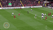 liverpool tottenham GIF by nss sports