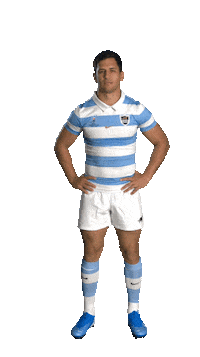 World Rugby Sport Sticker by Rugby World Cup