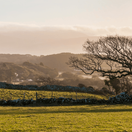 kirk-shaw giphygifmaker giphyattribution GIF