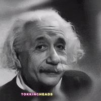 tokkingheads  GIF