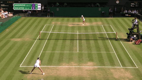 Iga Swiatek Wimbledon Final Double Bagel Celebration