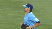 Blue Jays Baseball GIF by Toronto Blue Jays