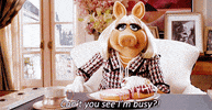 Interrupt Miss Piggy GIF