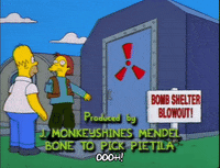 homer simpson GIF