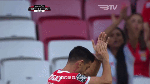 SL_Benfica giphyupload thumbs up clap clapping GIF