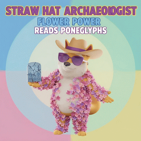 One Piece Sunglasses GIF by Doge Pound