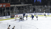 Dylan Sikura Celebration GIF by Colorado Eagles
