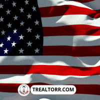 Real Estate Usa GIF by Trealtorr