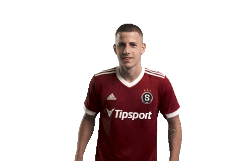 Celebration Sticker by AC Sparta Praha