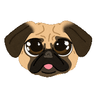 Dog Pug Sticker