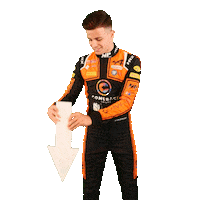 Racing Driver Sticker by Kas Haverkort