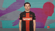 Bayer Leverkusen Hello GIF by Bundesliga