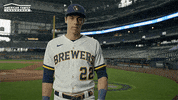 Milwaukee Brewers Baseball GIF by American Family Insurance
