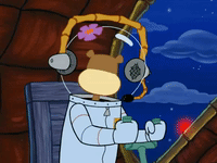 season 6 GIF by SpongeBob SquarePants